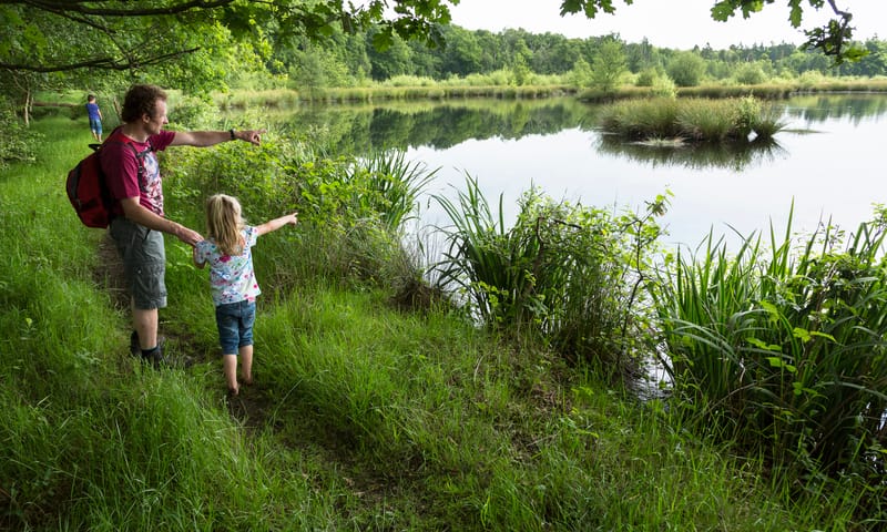 Witte veen