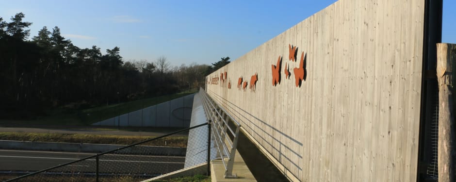 ecoduct