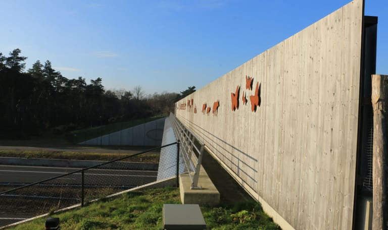 ecoduct