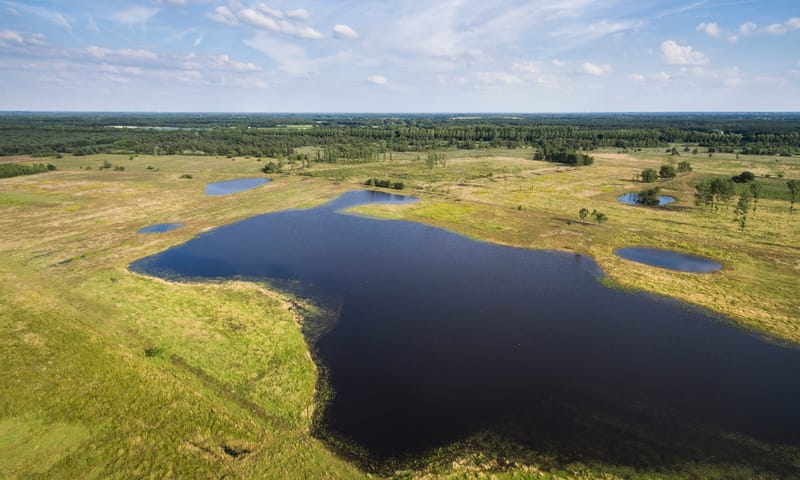 Kempen Broek Wat wij doen