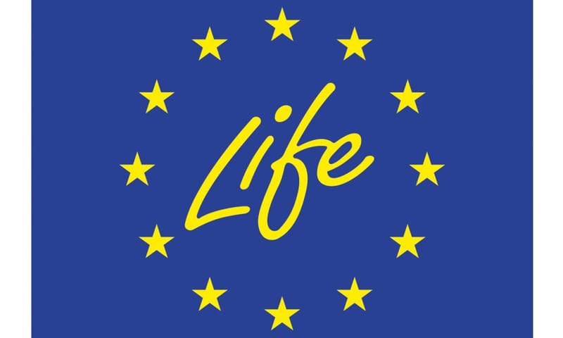 Life + logo