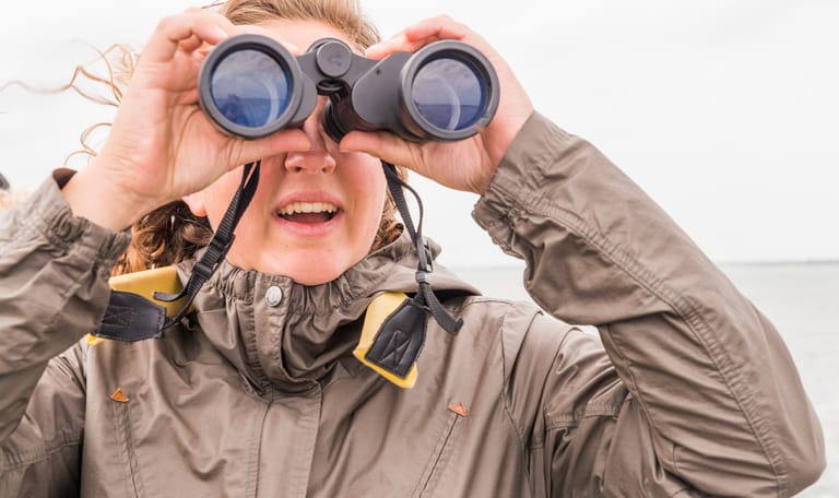 Vogels kijken Naardermeer