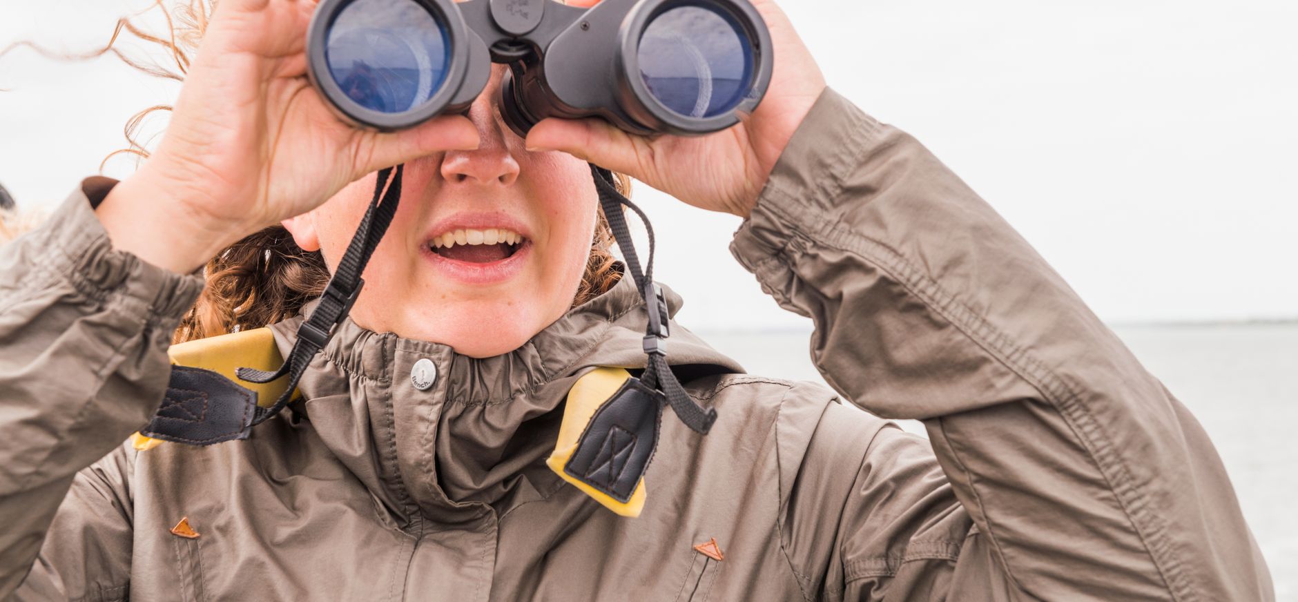 Vogels kijken Naardermeer