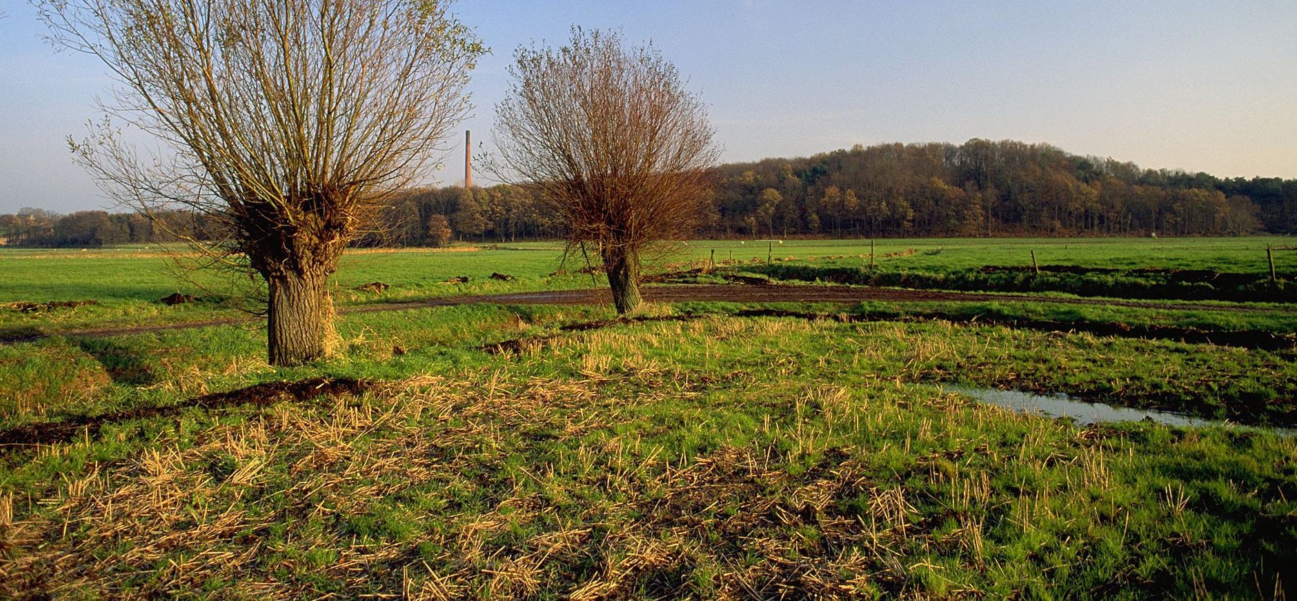 Brabantse Wal, gezien vanuit de Noordpolder van Ossendrecht