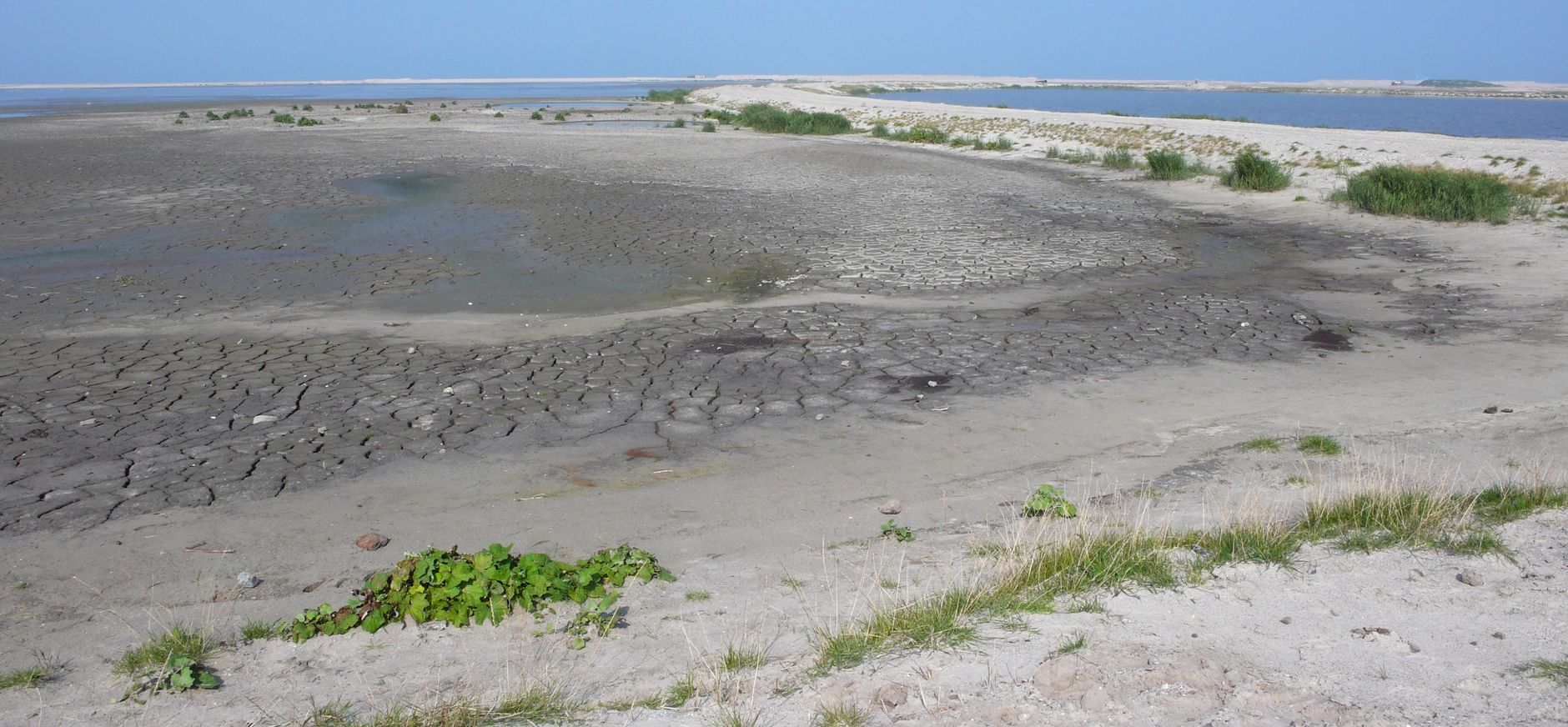 Marker Wadden in 2017