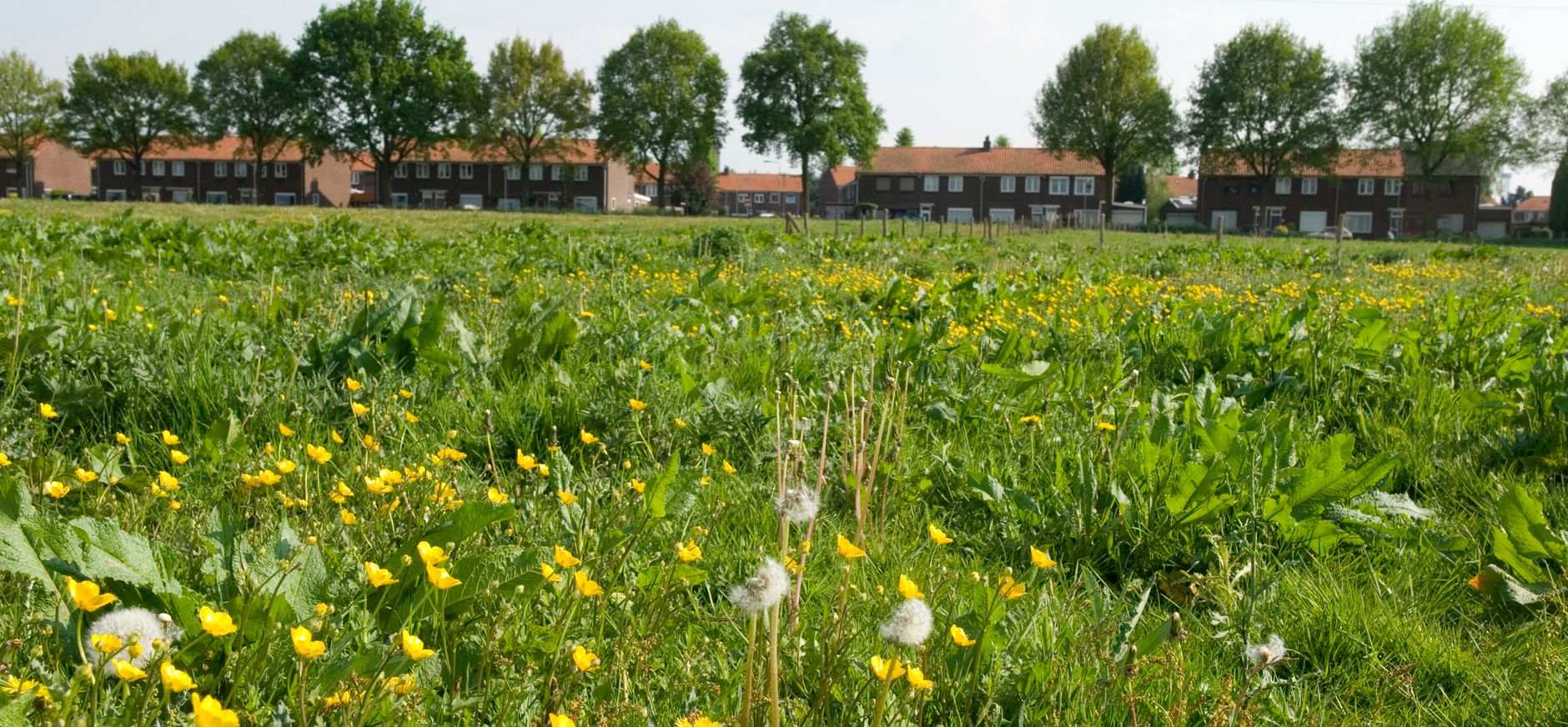 Hof van Limburg