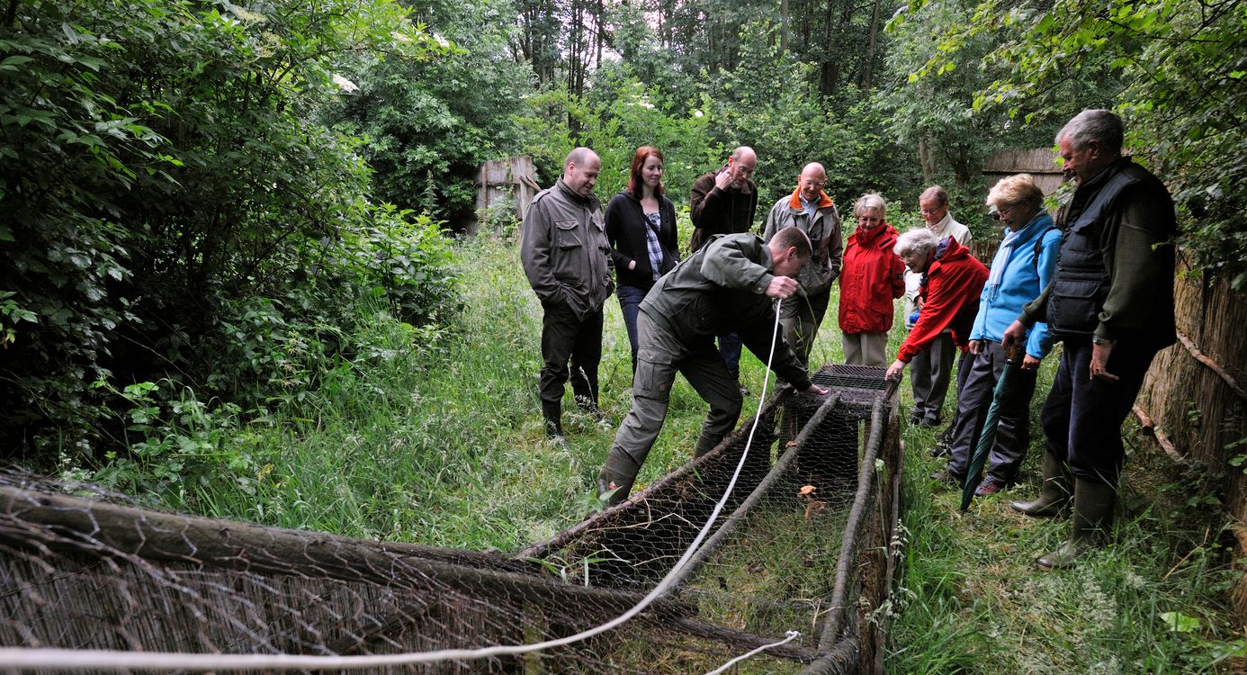 Op pad in de eendenkooi