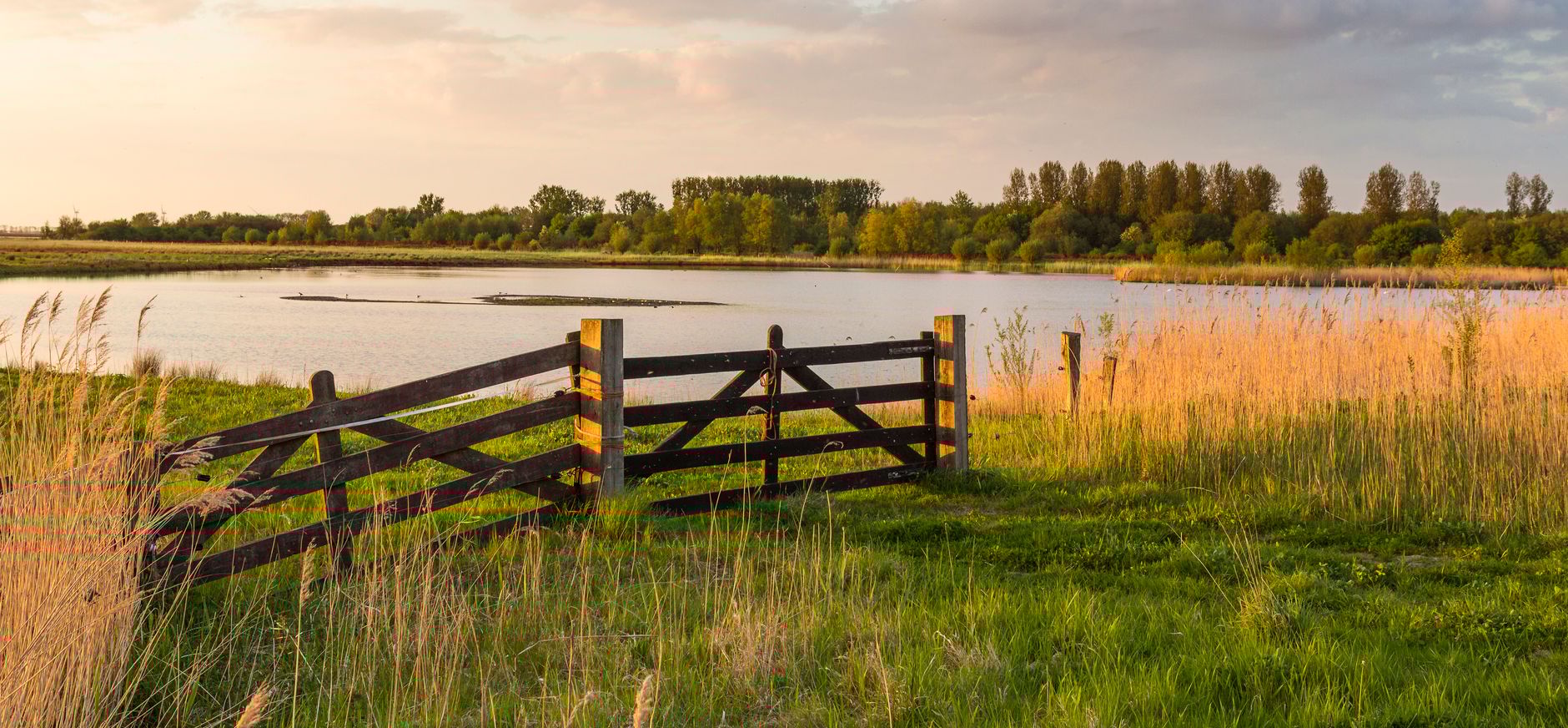 Oostelijk Flevoland