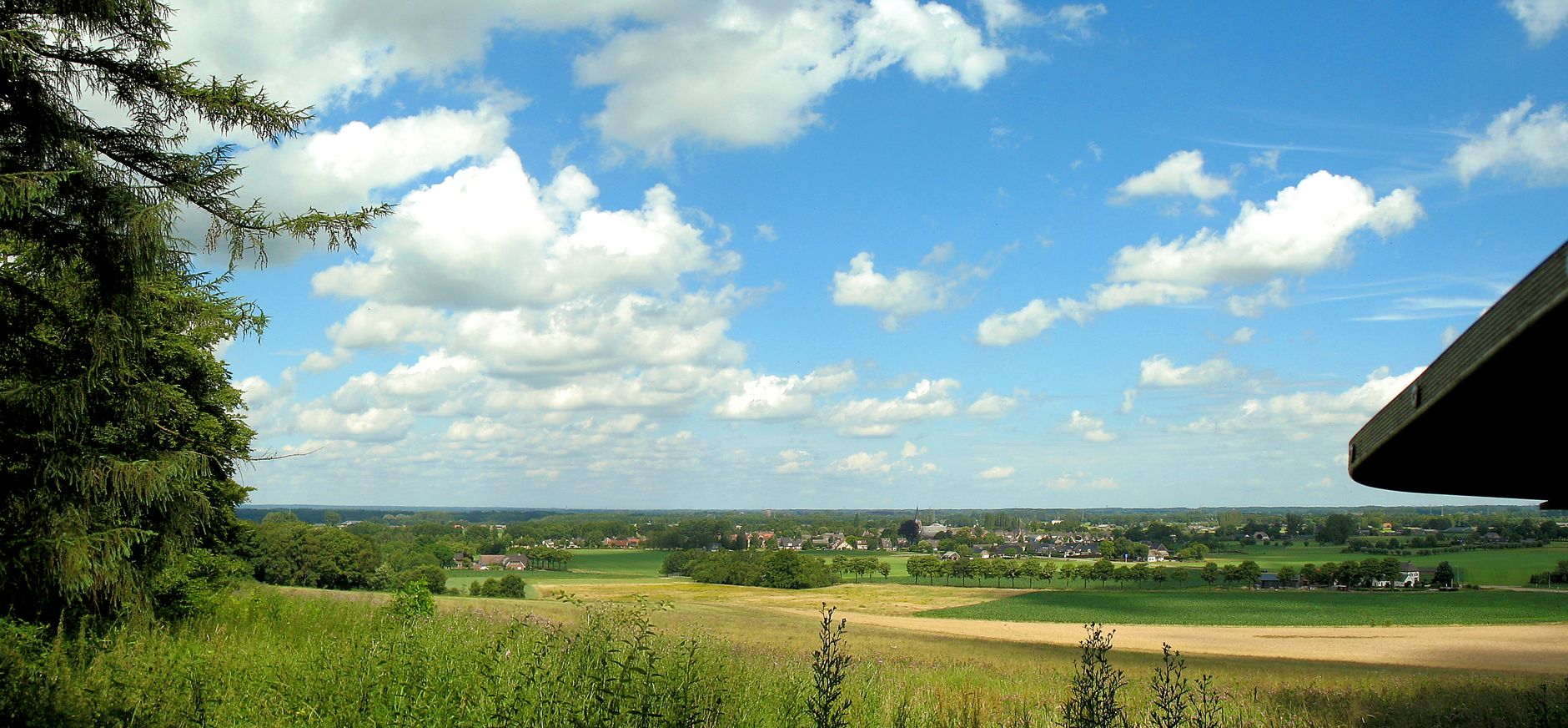 De rand van het Bergherbos in Montferland.