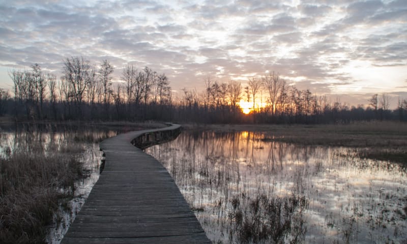 Beekbergerwoud