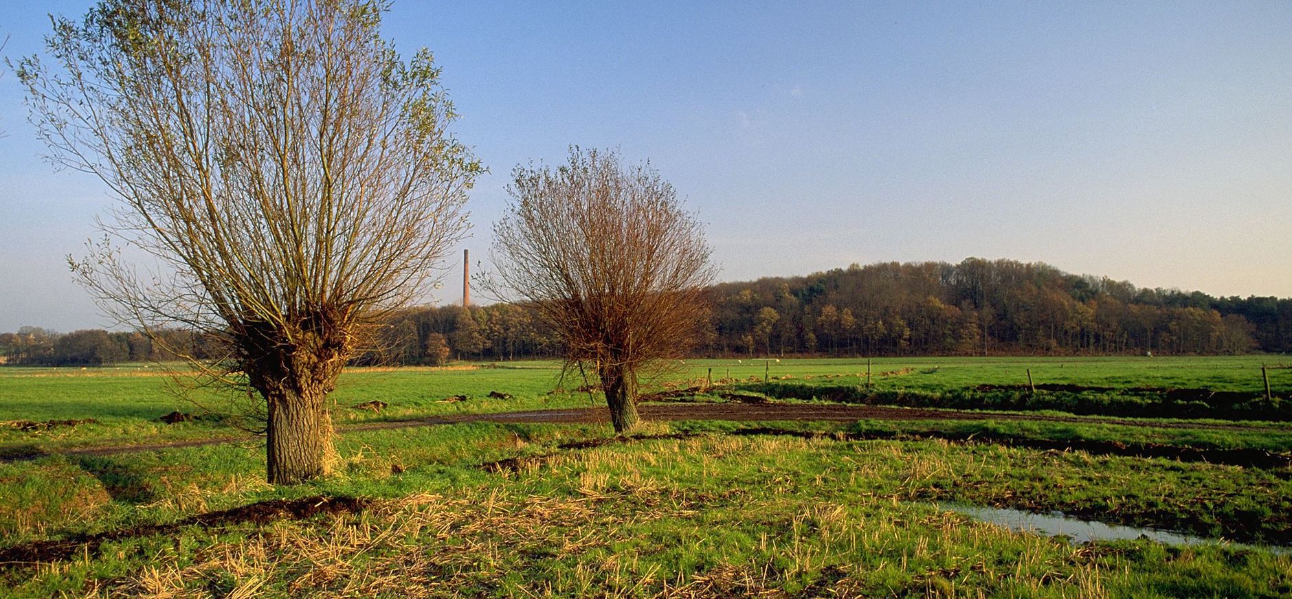 Brabantse Wal, gezien vanuit de Noordpolder van Ossendrecht