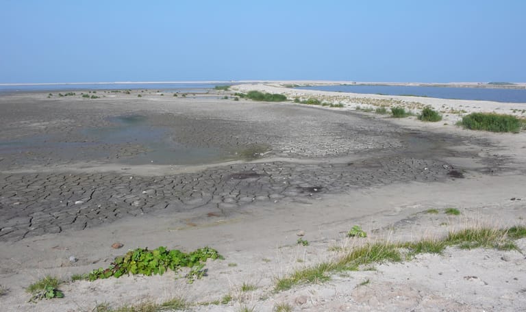 Marker Wadden in 2017