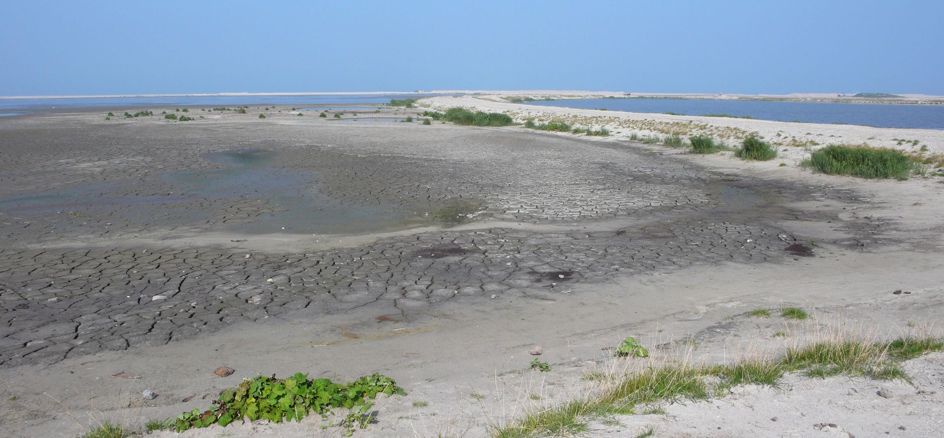 Marker Wadden in 2017