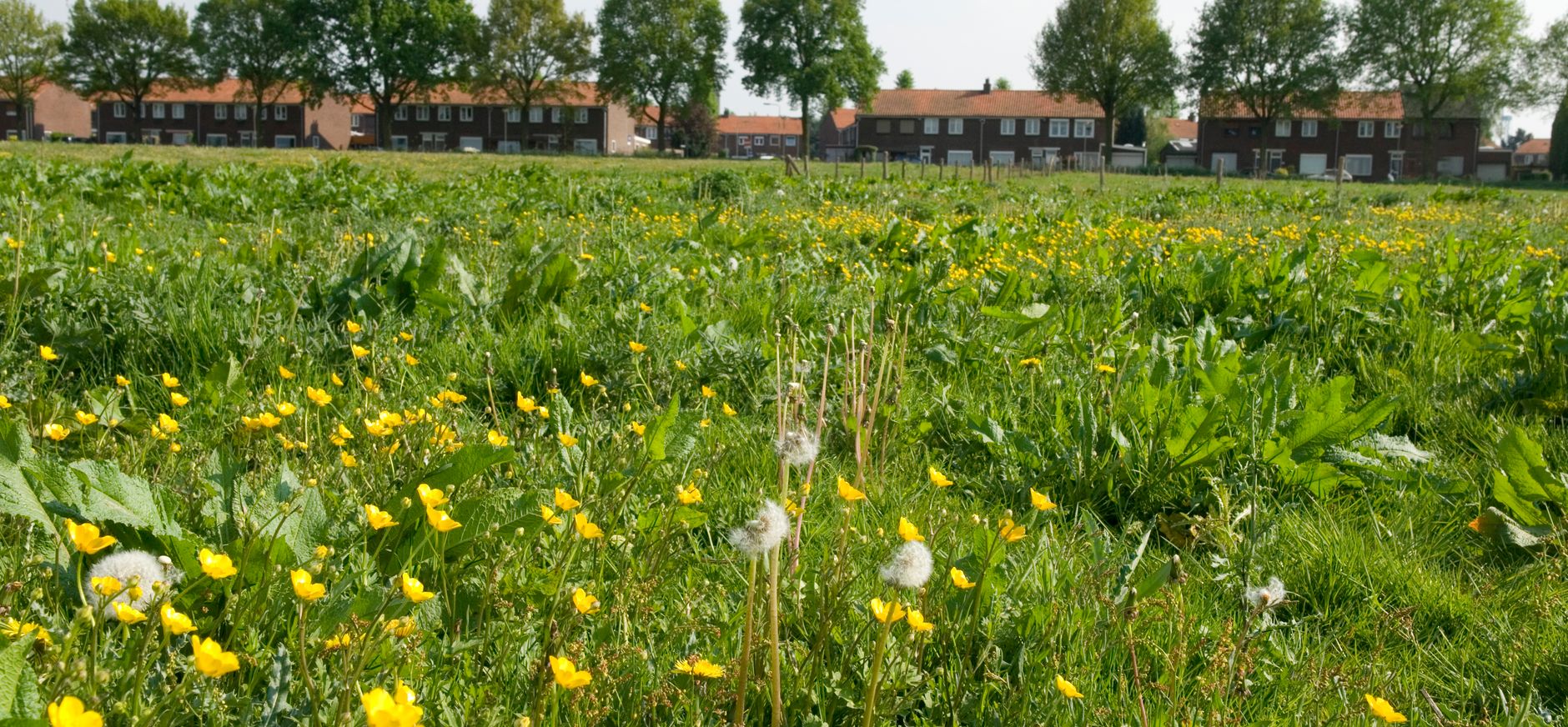 Hof van Limburg