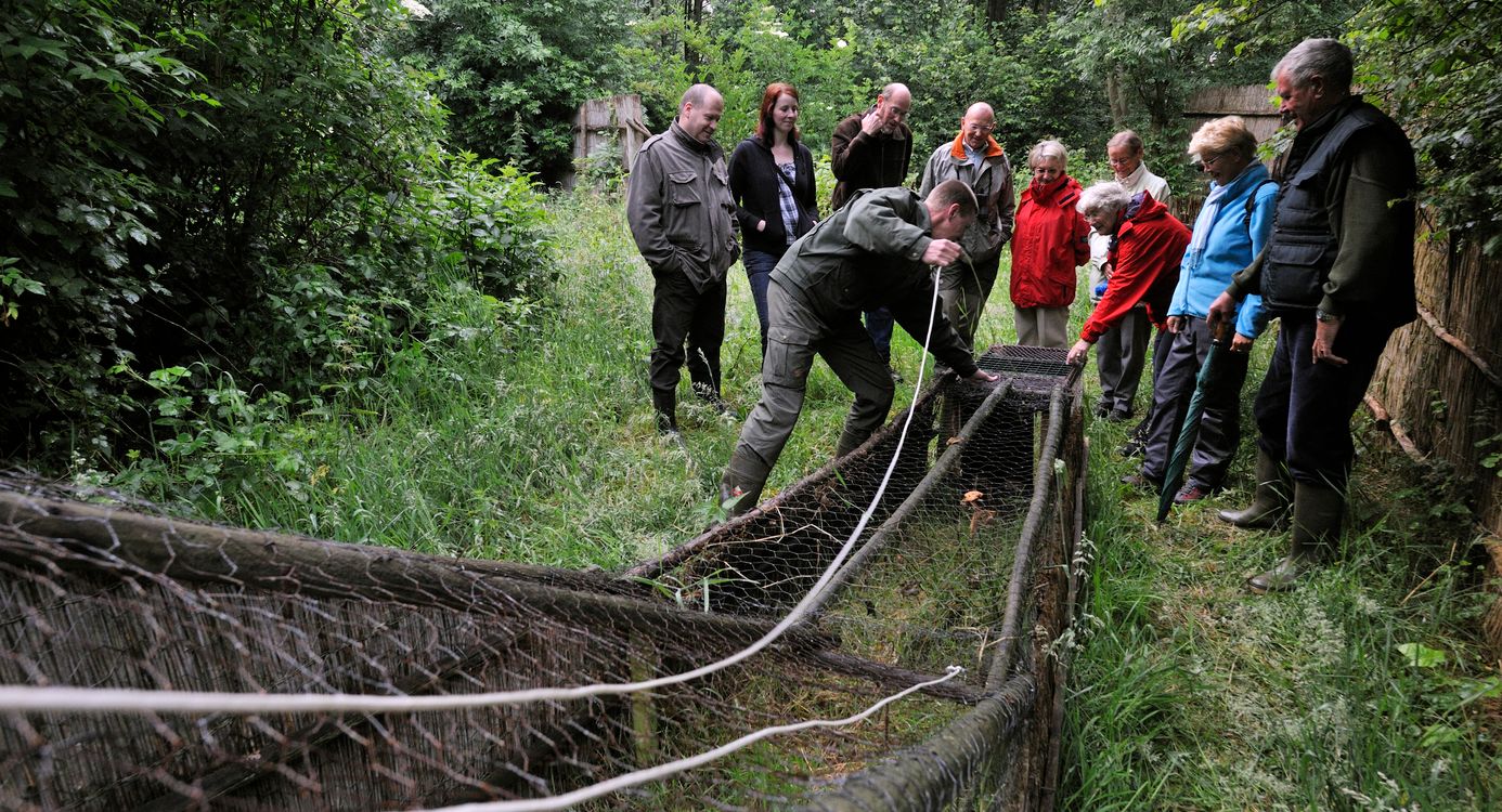 Op pad in de eendenkooi