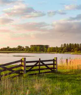Oostelijk Flevoland