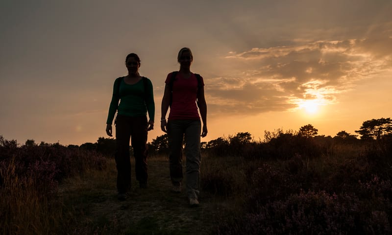 Wandelen op de heide