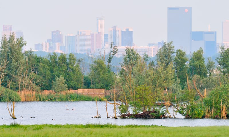 De Ackerdijkse Plassen met de skyline van Rotterdam op de achtergrond