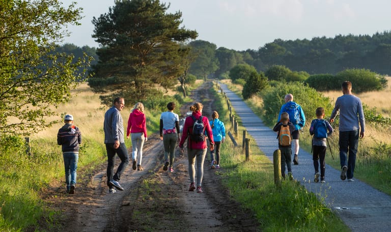Activiteiten bij Natuurmonumenten