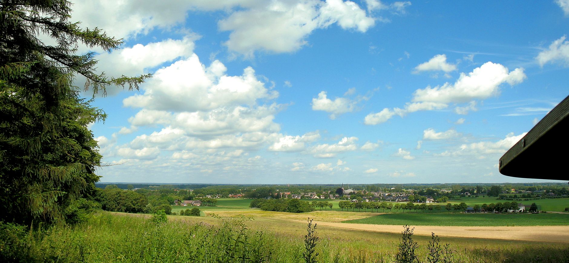 De rand van het Bergherbos in Montferland.