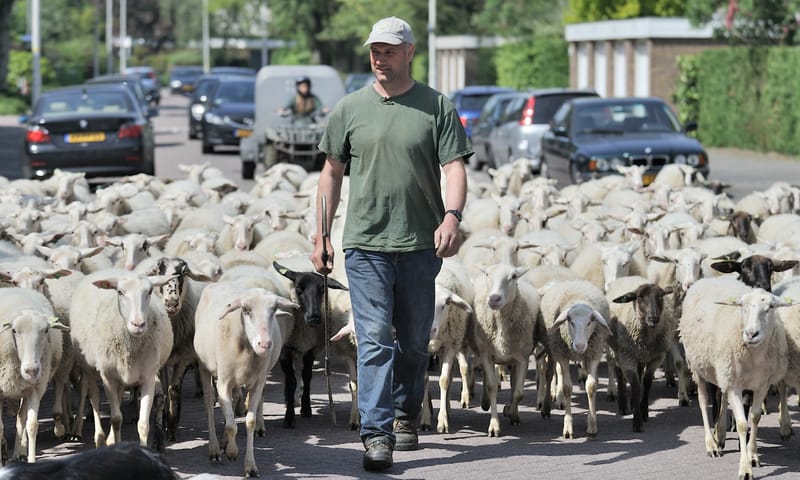 Stadsherder Martin Oosterhoek