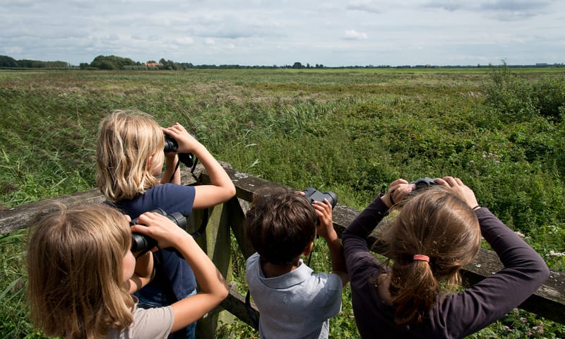 Vogels kijken in de Ackerdijkse Plassen