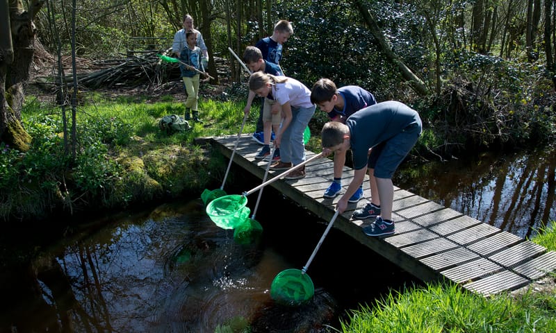 Zoeken naar waterdiertjes