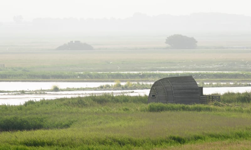 Vogelkijkhut Hegewiersterfjild - Natuurmonumenten