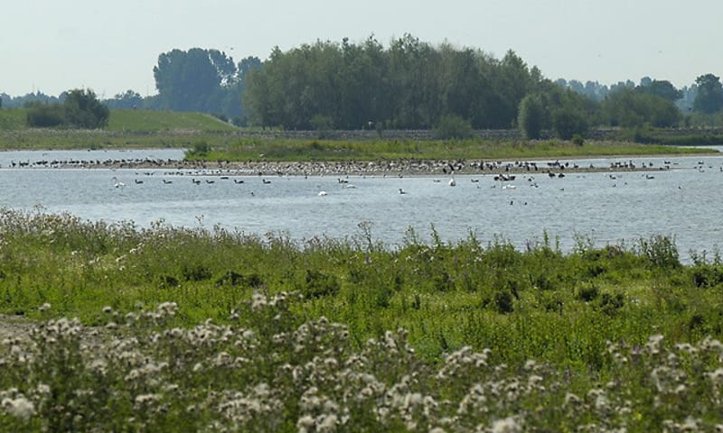 Vreugderijkerwaard