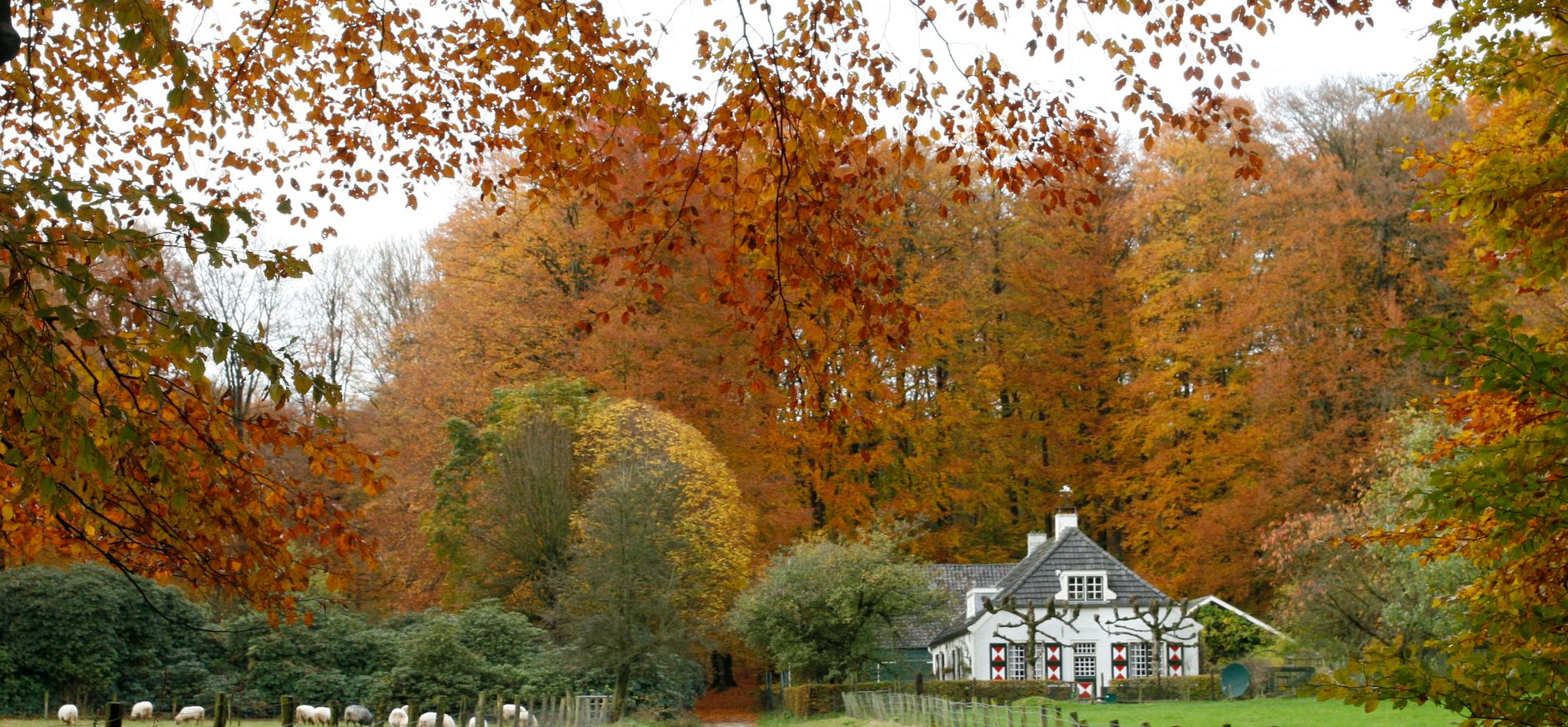 Ledencommissie Gelderland
