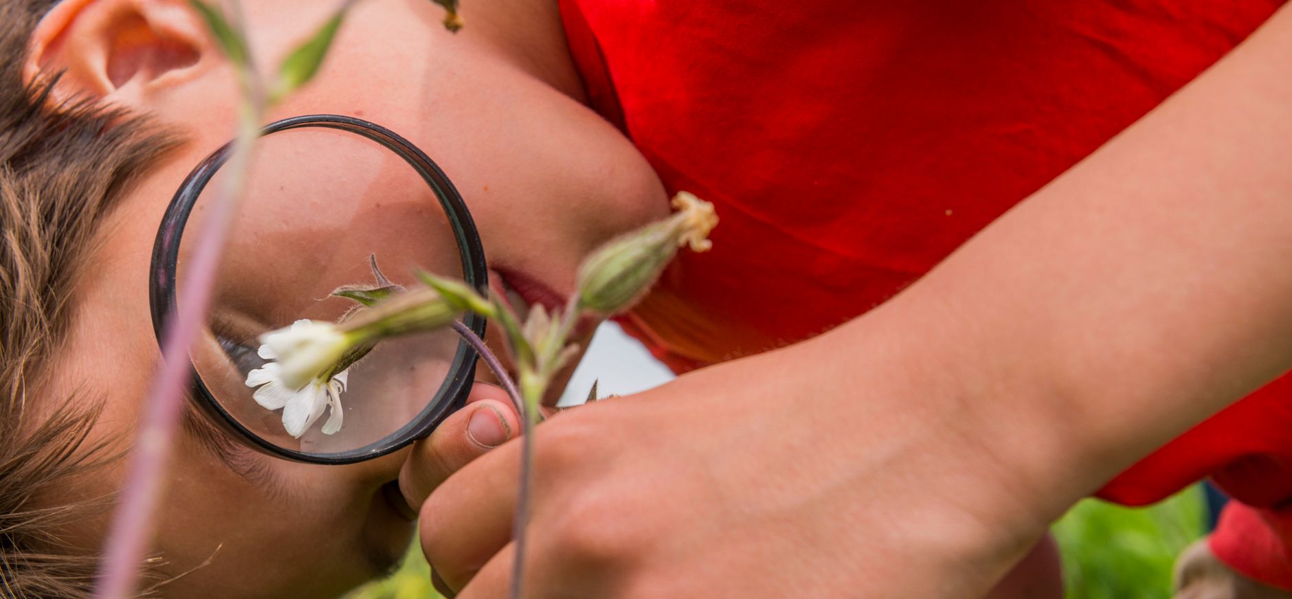 Kinderfeestje Ackerdijkse Plassen