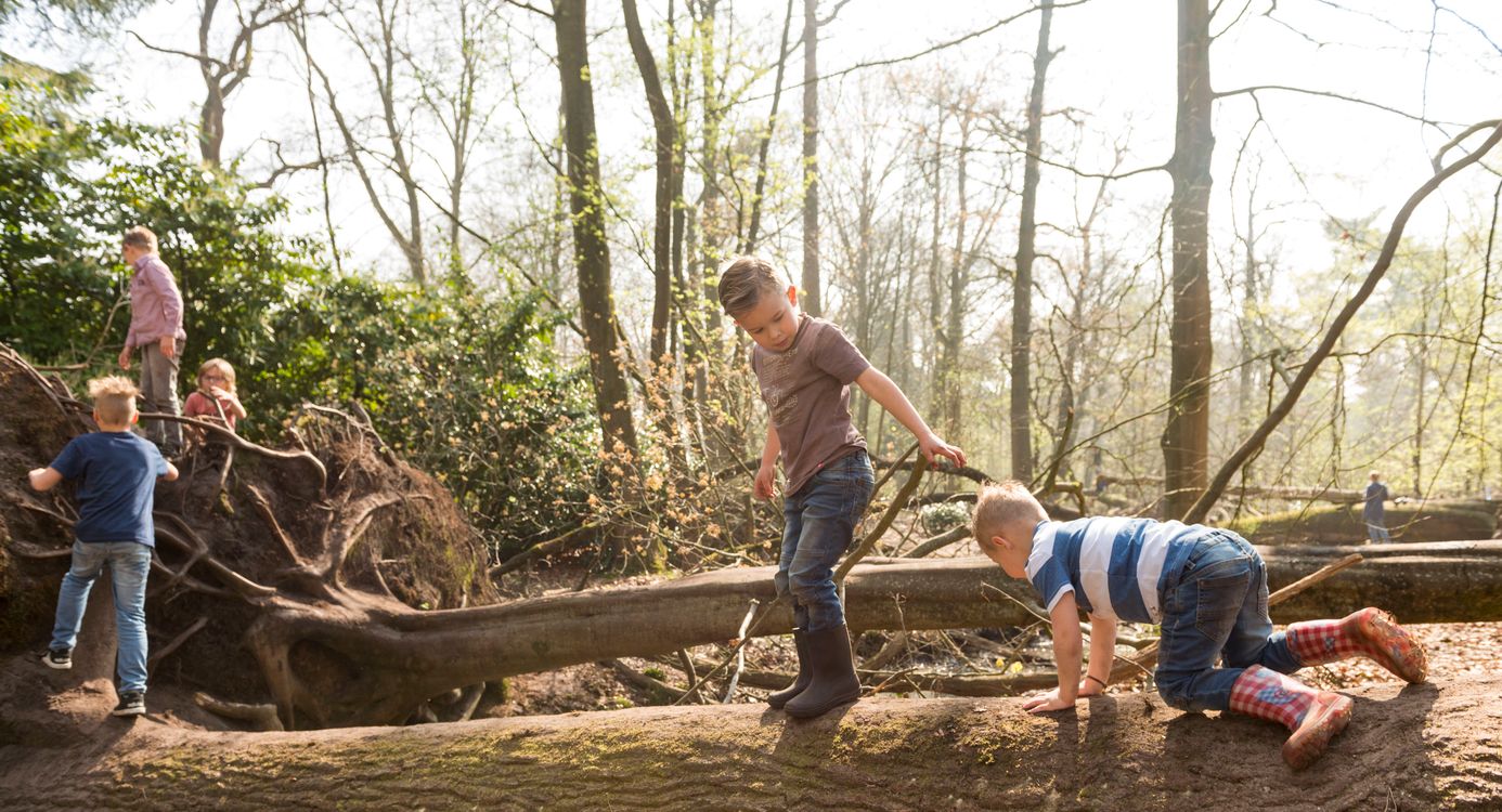 Speelnatuur Oisterwijk
