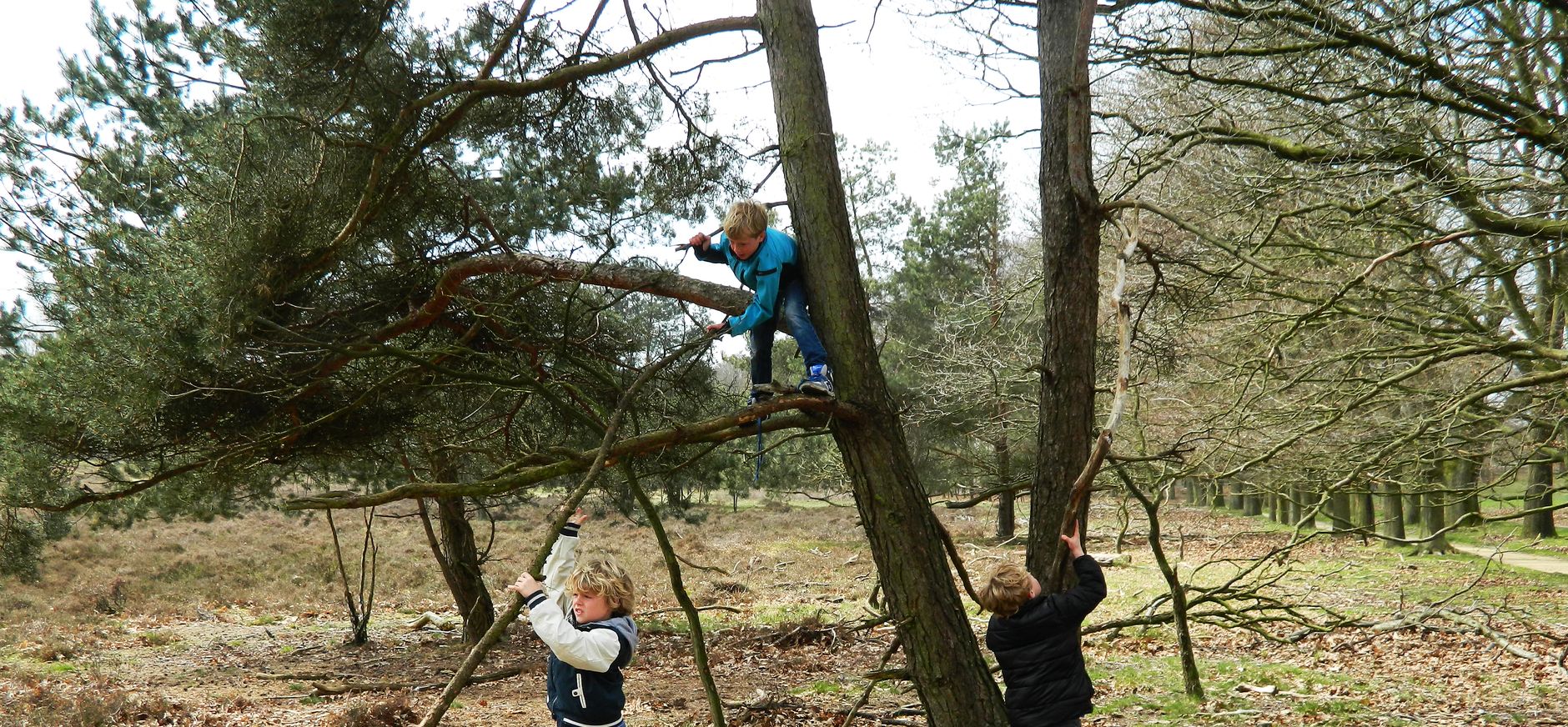 Kinderen bouwen boomhut op Speelnatuur Oud Reemst