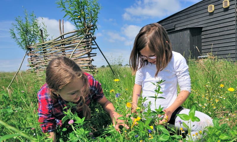 Wilde bloementuin bij Melkschuur Zuidpolder