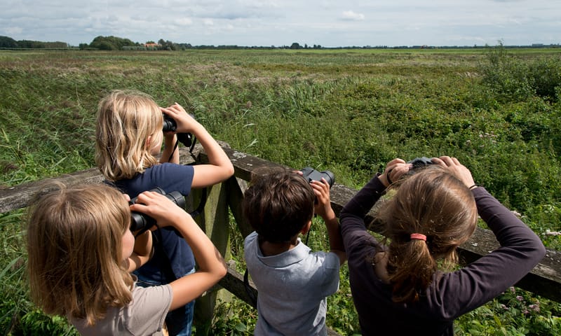 Vogels kijken in de Ackerdijkse Plassen