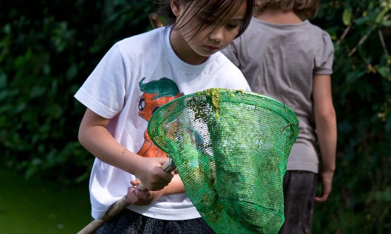 Zoeken naar waterdiertjes