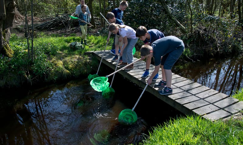 Zoeken naar waterdiertjes