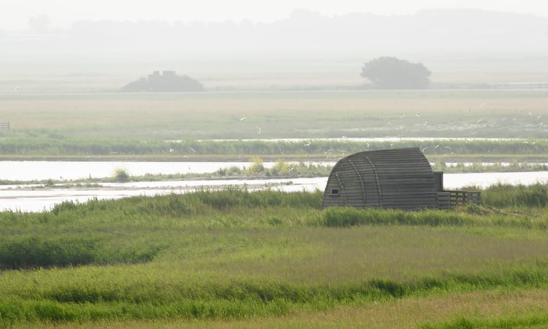 Vogelkijkhut Hegewiersterfjild - Natuurmonumenten