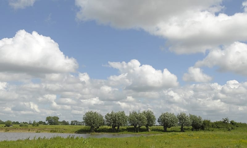 Vreugderijkerwaard
