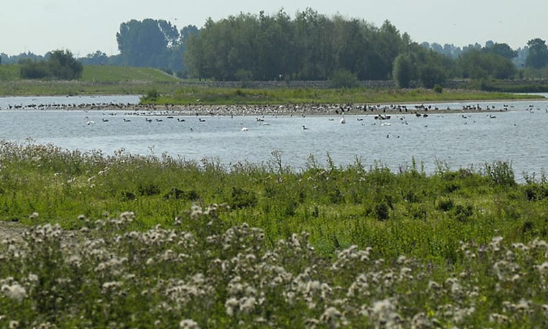 Vreugderijkerwaard