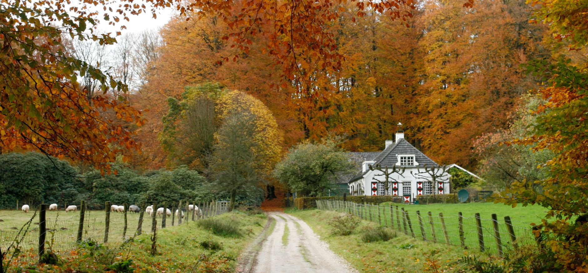 Ledencommissie Gelderland