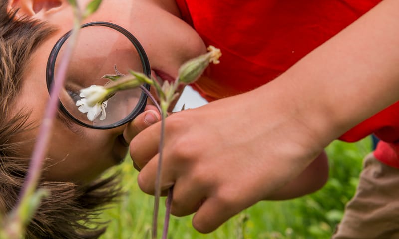 Kinderfeestje Ackerdijkse Plassen