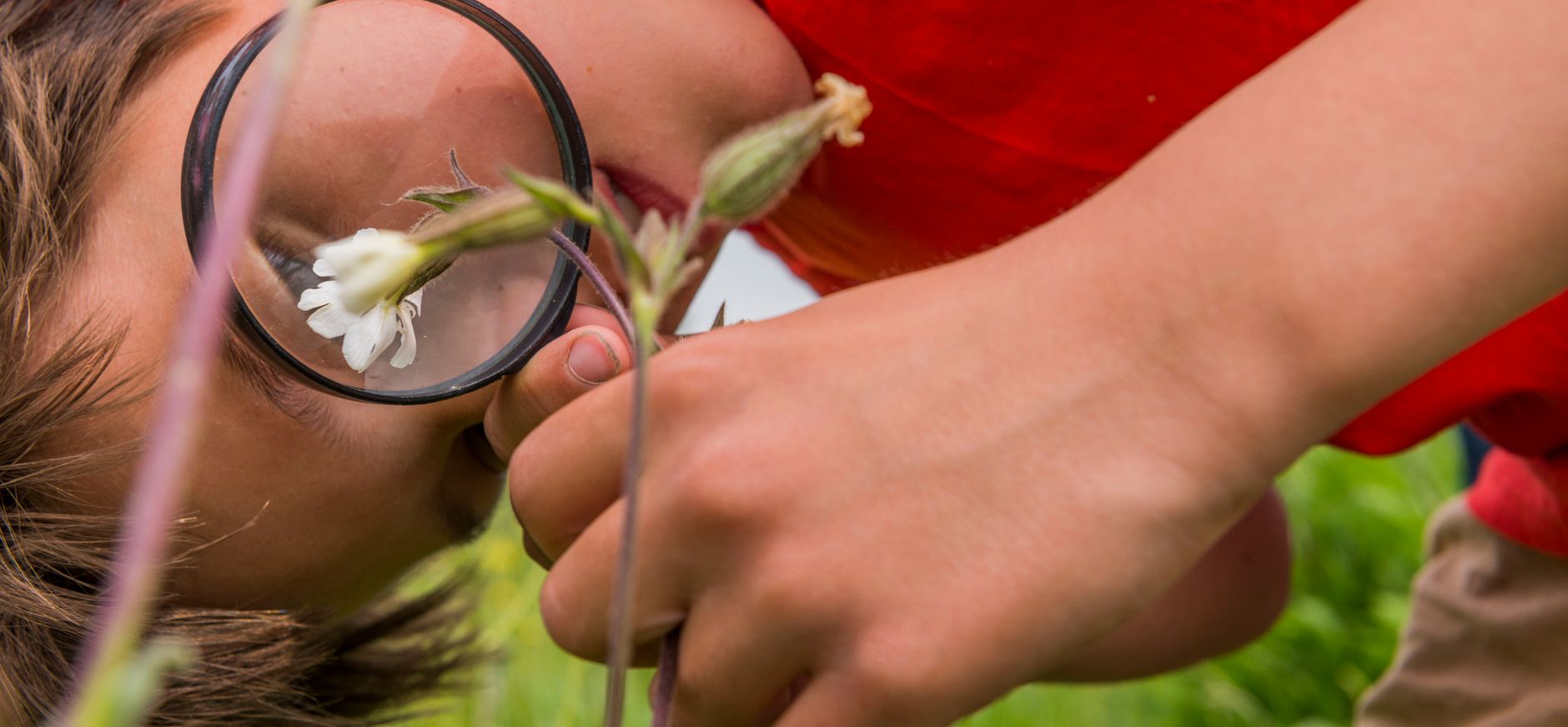Kinderfeestje Ackerdijkse Plassen