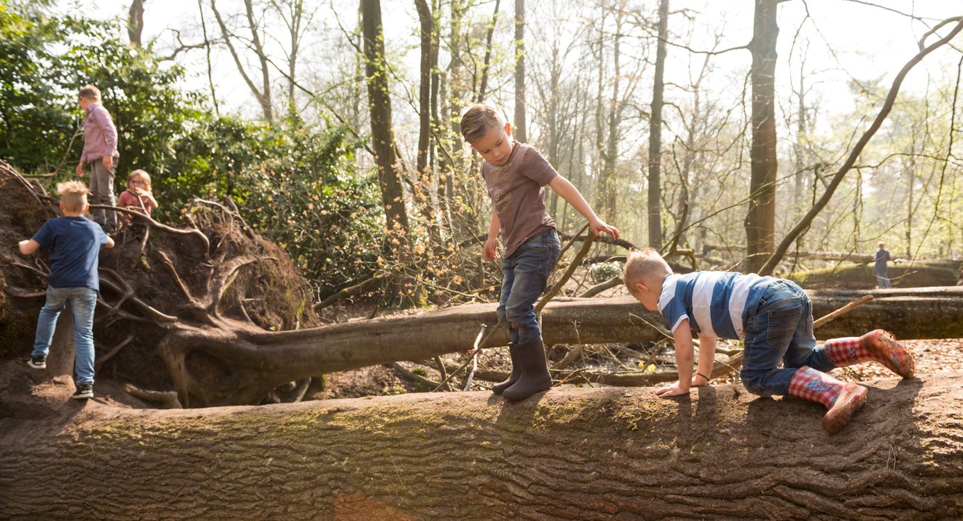 Speelnatuur Oisterwijk