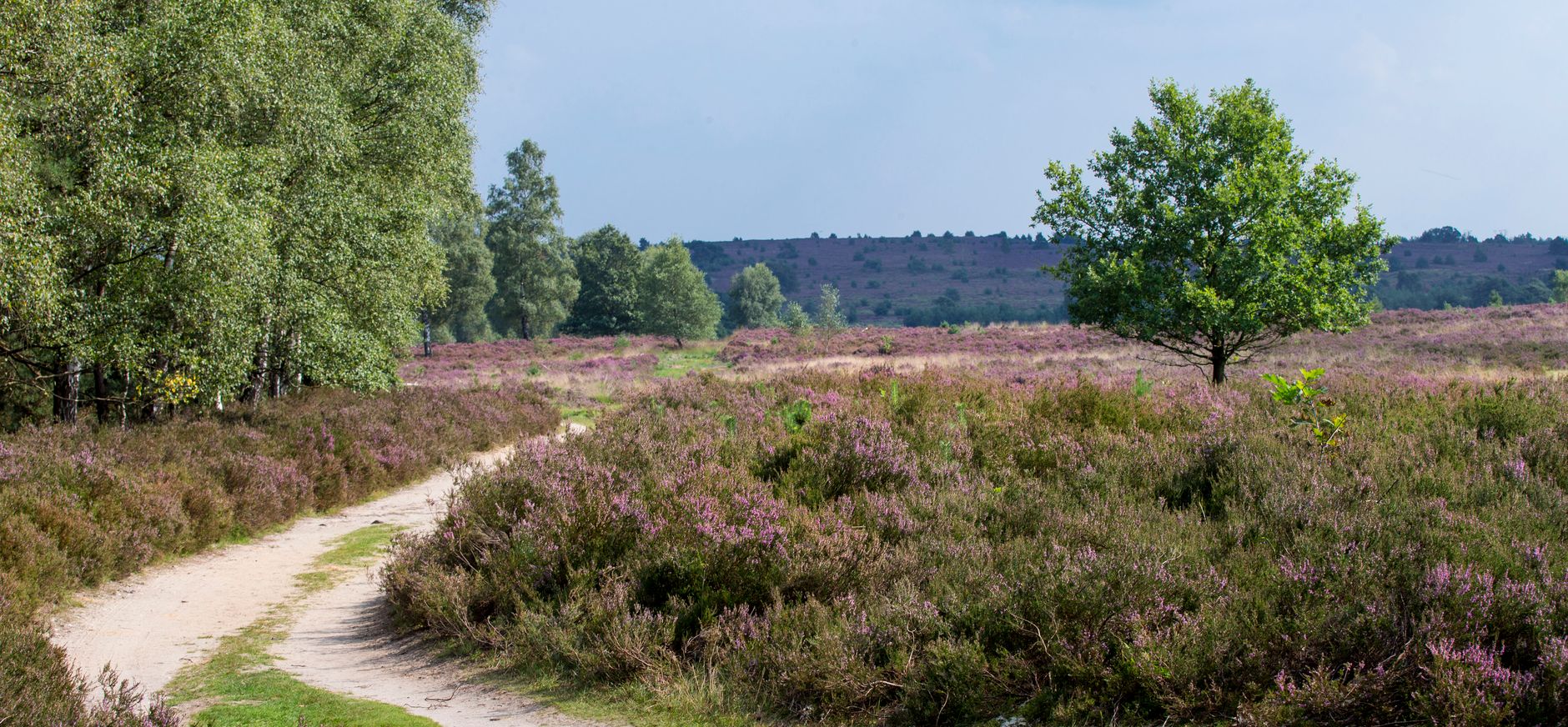 Ledencommissie Overijssel