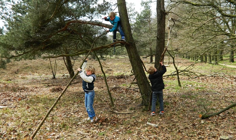 Kinderen bouwen boomhut op Speelnatuur Oud Reemst