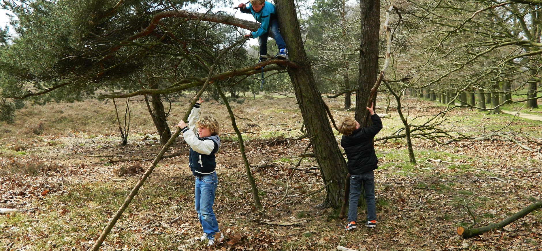 Kinderen bouwen boomhut op Speelnatuur Oud Reemst
