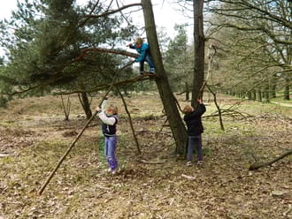 Kinderen bouwen boomhut op Speelnatuur Oud Reemst