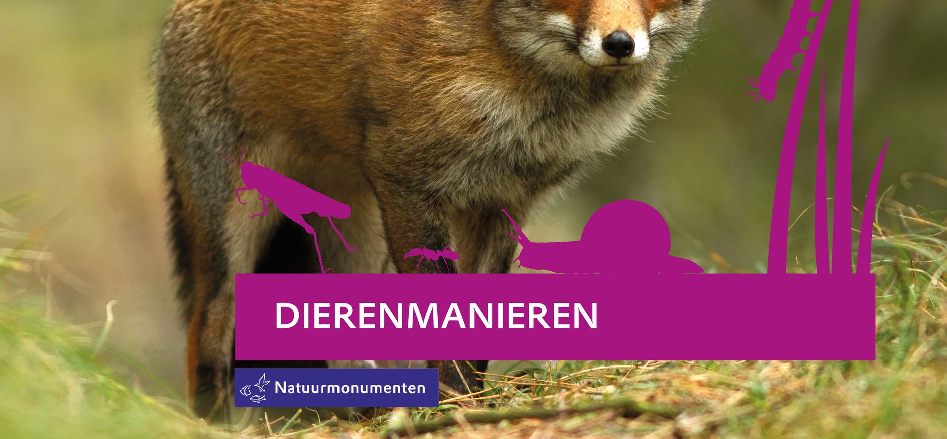 Speurtocht dierenmanieren
