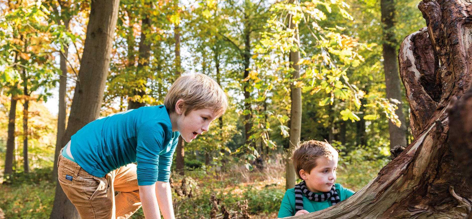 Speurtocht: lente, zomer, herfst en winter
